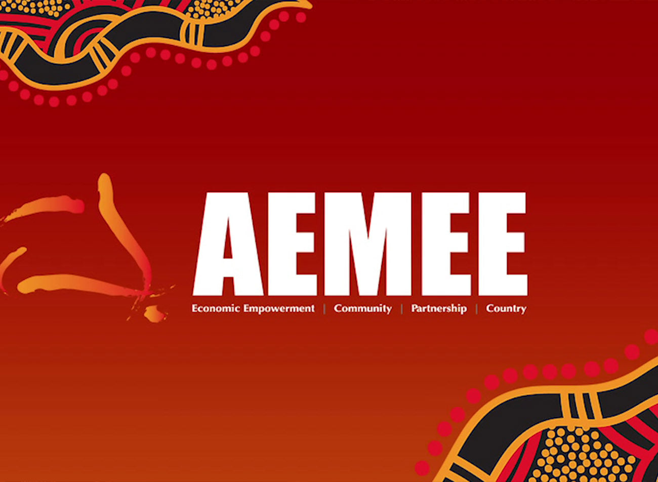Delegates talk about what makes the AEMEE Conference a valuable networking event