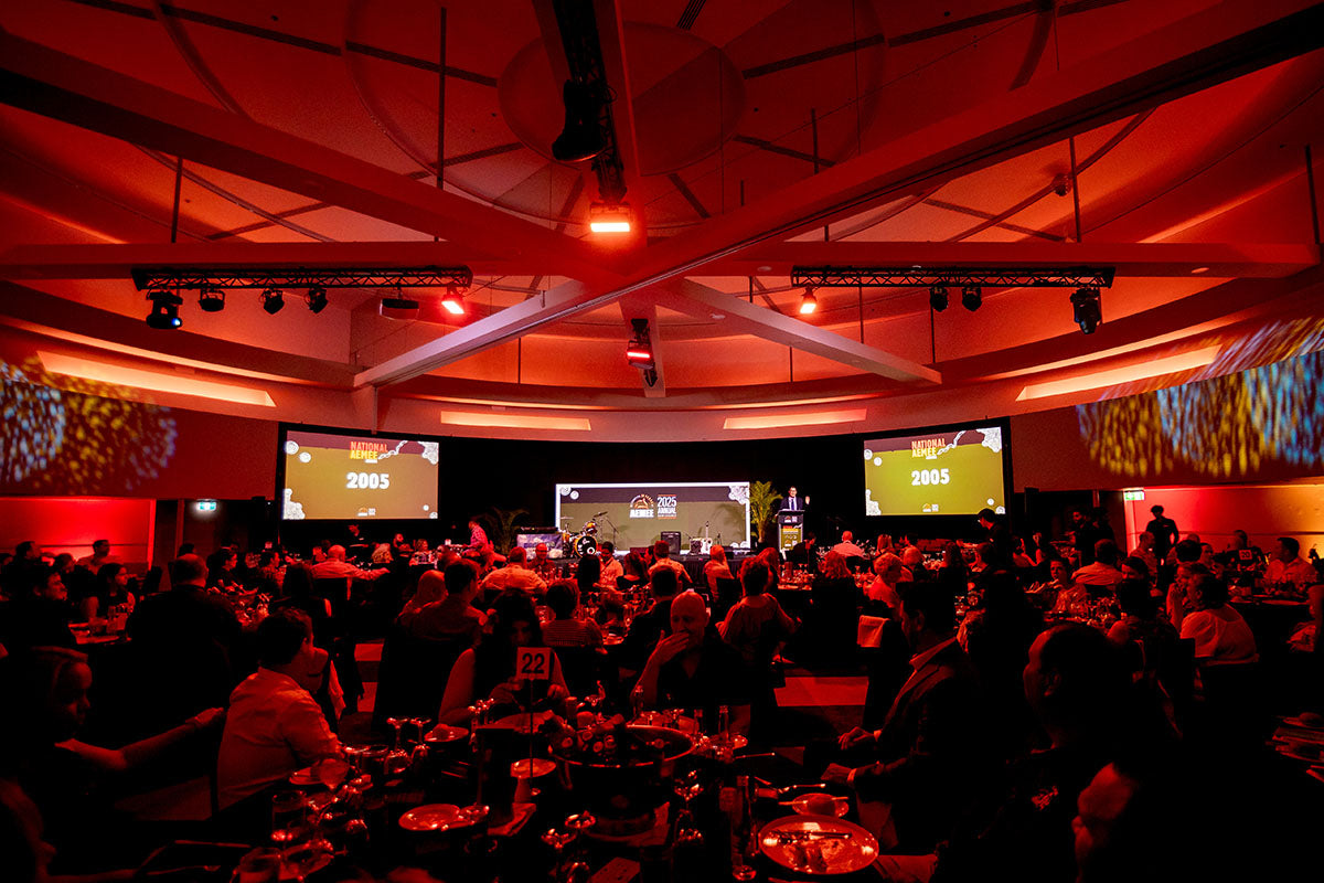 Wide view of the AEMEE 2025 Annual Conference audience during the National AEMEE Awards sponsor address.