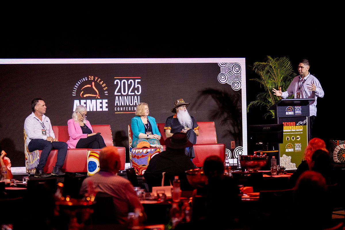 Speaker presenting on stage during an AEMEE 2025 Annual Conference panel session.