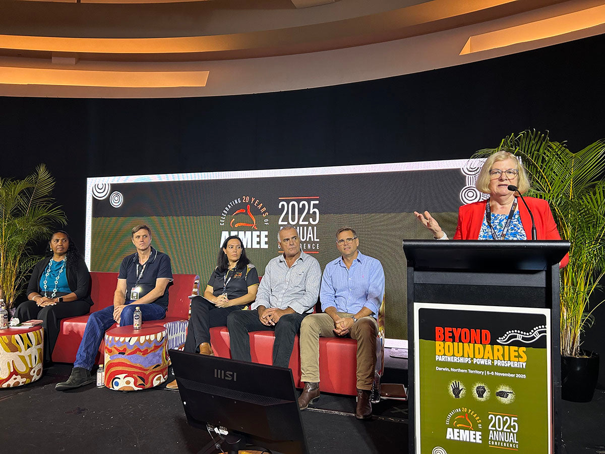 Presenter speaking at the AEMEE 2025 Annual Conference with panellists seated on stage.