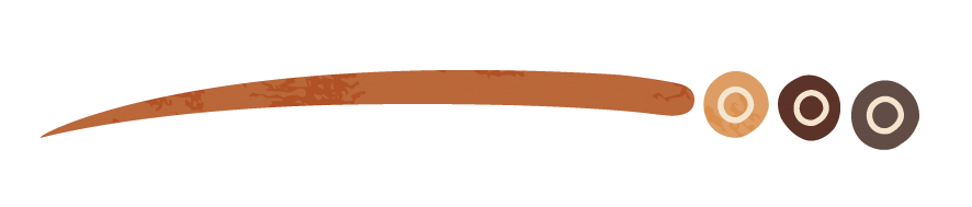 An official horizontal AEMEE brand graphic element, displaying a clean ochre line paired with traditional First Nations dot and circle design accents.