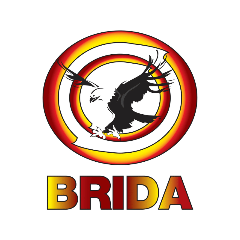 Brida logo — 2019 AEMEE Indigenous Business of the Year Winner